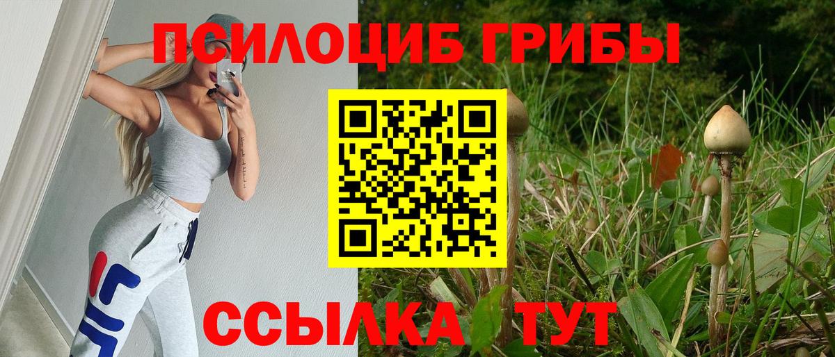 Псилоцибиновые грибы прущие грибы Вольск