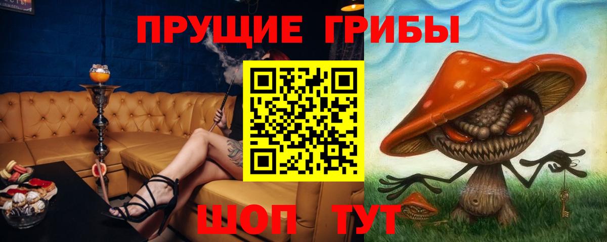 Вольск  Псилоцибиновые грибы Magic Shrooms  Псилоцибиновые грибы мицелий  Вход с VPN 